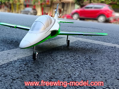 Freewing Banshee 64mm Sport 6S Jet PNP