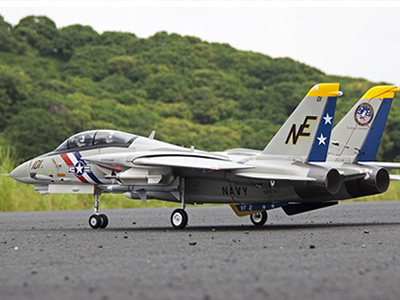 Freewing F14 Tomcat twin 80mm Jet
