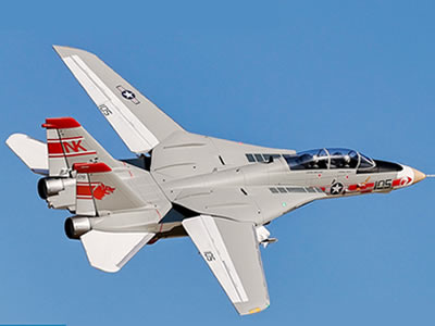 Freewing F-14 V2 Tomcat Twin 64mm EDF PNP RC Jet
