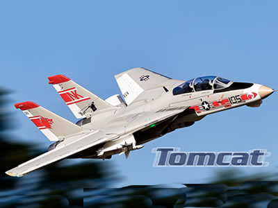 Freewing F-14 V2 Tomcat Twin 64mm EDF PNP RC Jet