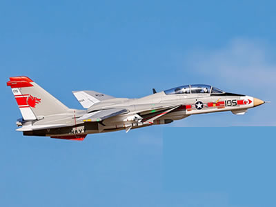 Freewing F-14 V2 Tomcat Twin 64mm EDF PNP RC Jet