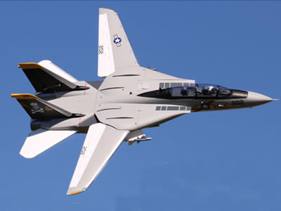 Freewing F-14 Tomcat Twin 64mm EDF ARF Plus RC Airplane